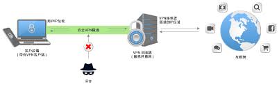 今天起世园会开展啦！九图教你辨别常见花卉